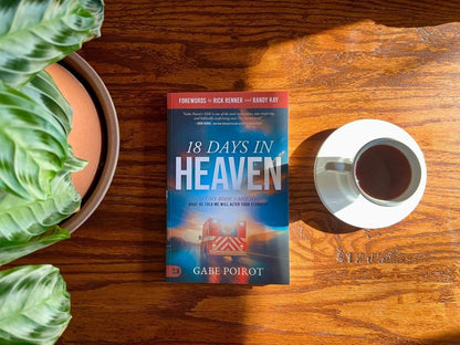 18 Days in Heaven: The Incredible Story of Meeting Jesus